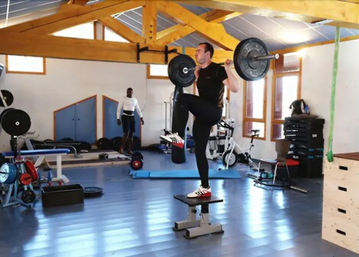 Отель Rhododendrons 3*