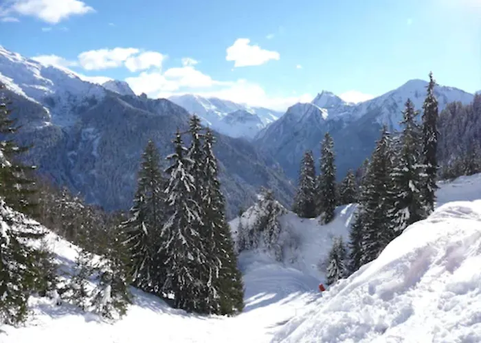 Rhododendrons La Plagne