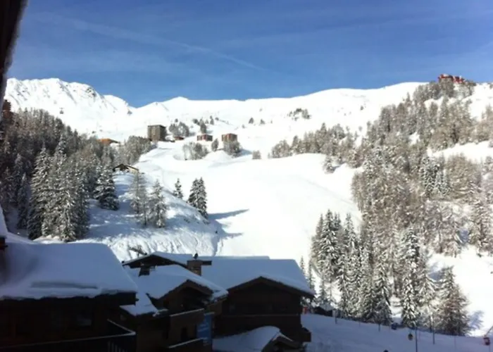 Rhododendrons Hotell